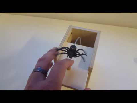 spider-in-a-box-prank