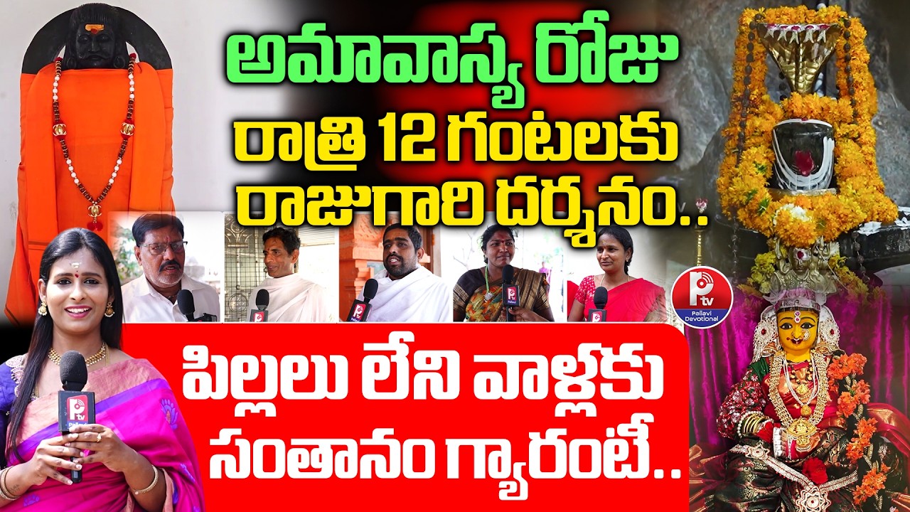 Sri Kedareshwara Aashramam Nandipet | Palugutta | Nandipet Temple | Mangi Ramulu Maharaj | PTV