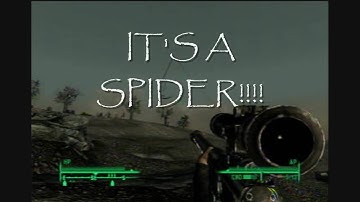 Weirdest Fallout 3 Glitch Ever (It