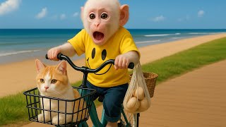 Monyet Lily menemukan anak kucing terlantar lalu membawanya pulang untuk dirawat ! | Lily Indonesian
