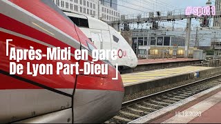 SPOT #1 - Une belle fin d’après-midi en Gare de Lyon Part-Dieu !