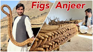 Afghanistan Dry fruits Anjeer | Dry Figs | New Crop 2023