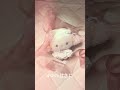 01 | 4つの甘さに、吸い込まれて生きてる。 #shorts #idem #こぎみゅん #自作bgm