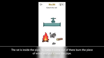 Catch the rat Brain Out Level 84