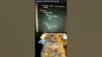 Coding Cat😼