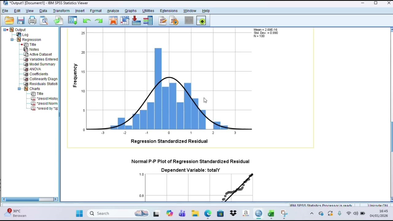 Analisis Data Menggunakan SPSS: Input Data dari Excel dan Uji Asumsi Klasik