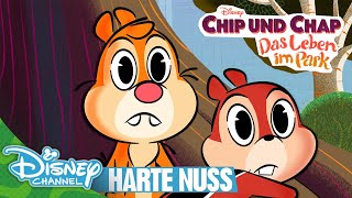 Gar nicht so leicht zu knacken | Chip und Chap: Das Leben im Park