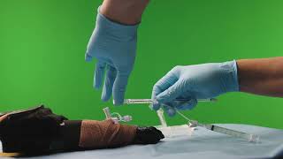 CalmCollect Needle-Free Blood Collection Device for veterinary patients.