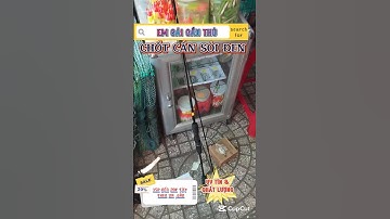 Cần sói đen được em gái sắm #fishing #caucasuoi #carpfish #automobile #cauca #caucavatrainghiem