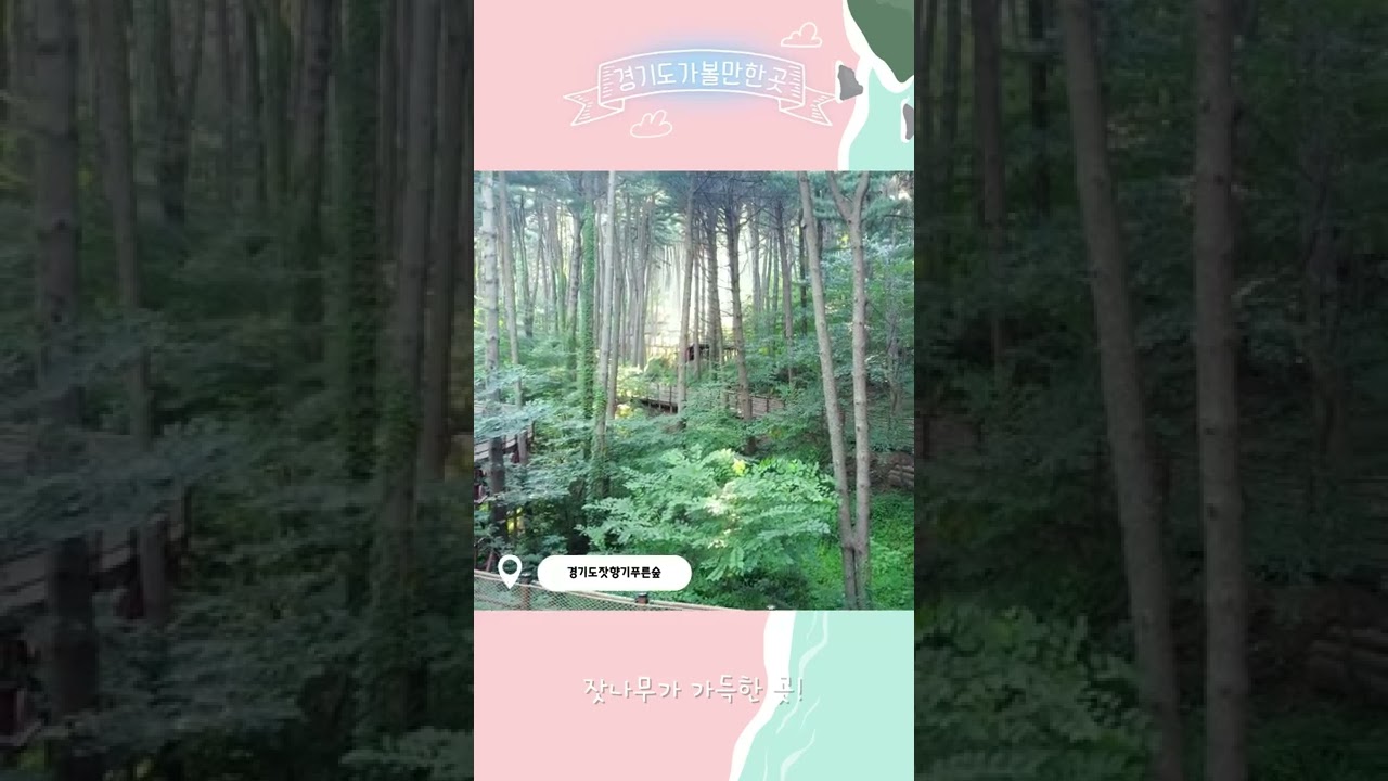 경기도가볼만한곳_경기도잣향기푸른숲(feat.가평)