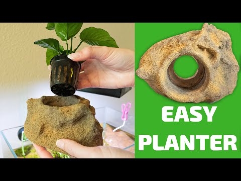 Vídeo: Easy Planter