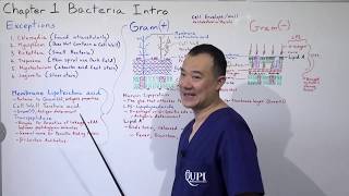 Cell Wall of Bacteria Infectious Disease Ch1 P3