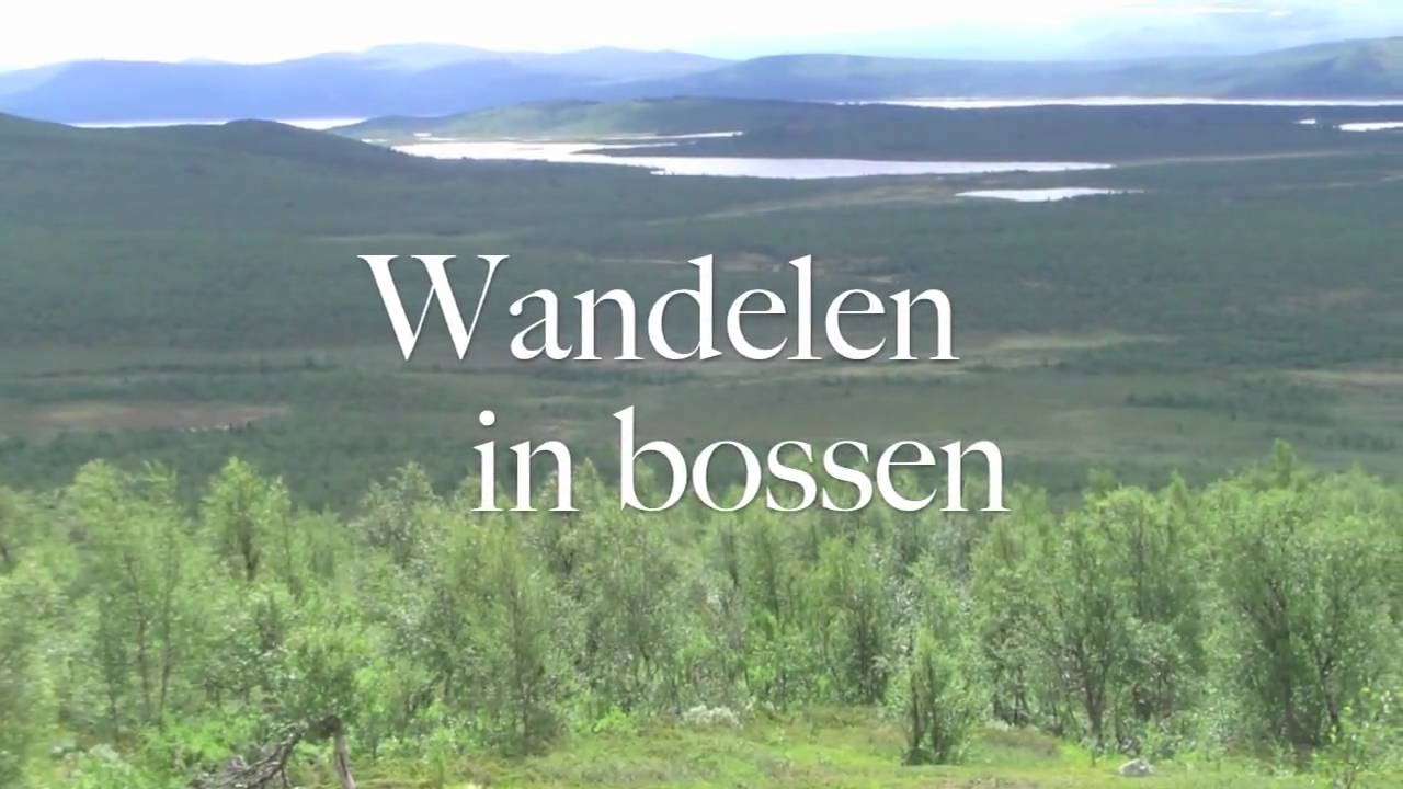 trailer Sjouwen in Sjaunja