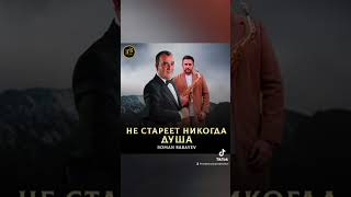 Полная Версия Доступна По Ссылке В Комментариях ✅🔥 #Музыка #Song #Hits #Шансон #Shanson