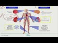 Endocrinologa  complicaciones microvasculares