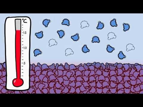 Video: Ինչպես որոշել օդի ջերմաստիճանի լայնությունը