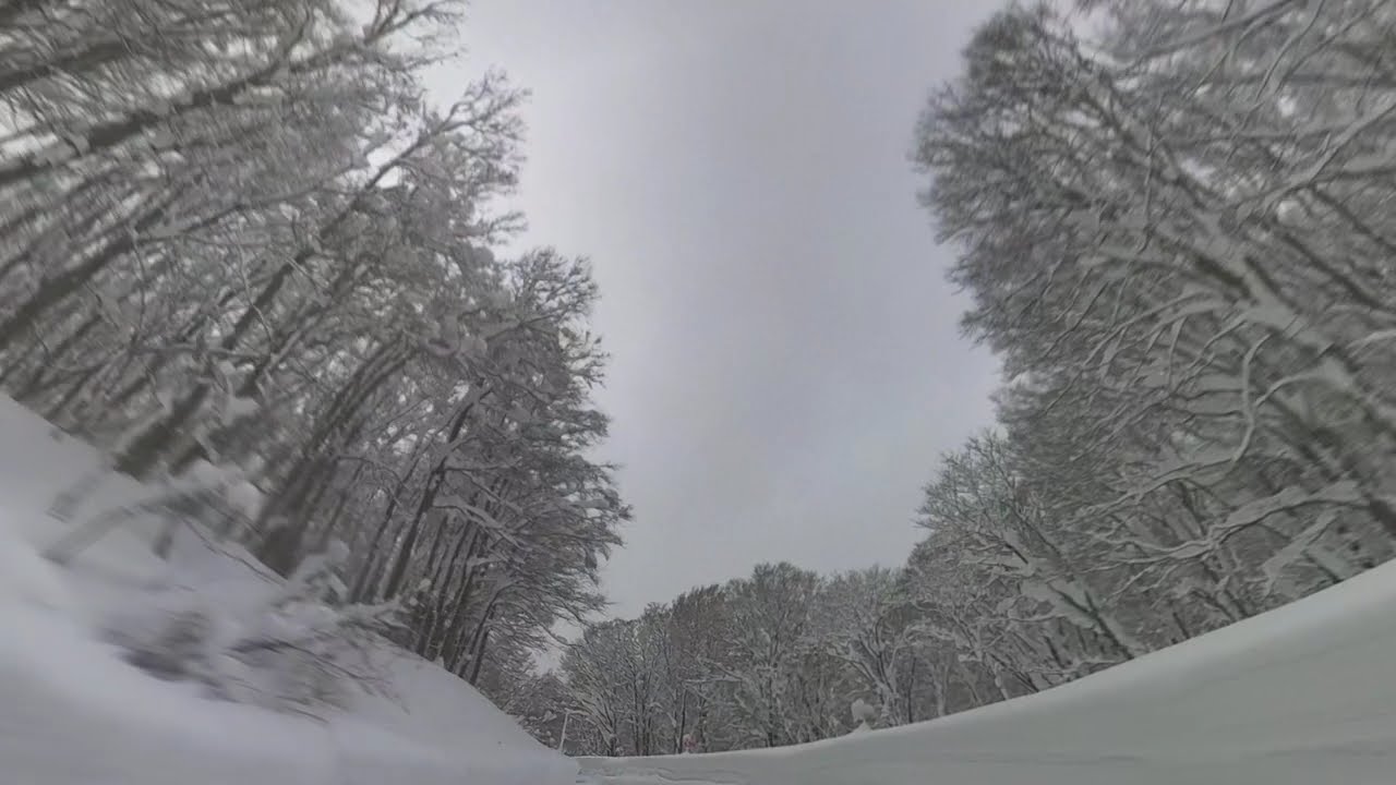 【4K】Snow Drive in Aomori, Japan - Mt. Hakkoda Winter Wonderland (54 min) | 八甲田山 雪の回廊 癒しのドライブ