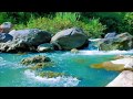Tranquil Waters Calming Creek Sounds for Relaxation, White Noise, Asmr, Healing Music, Fall Asleep