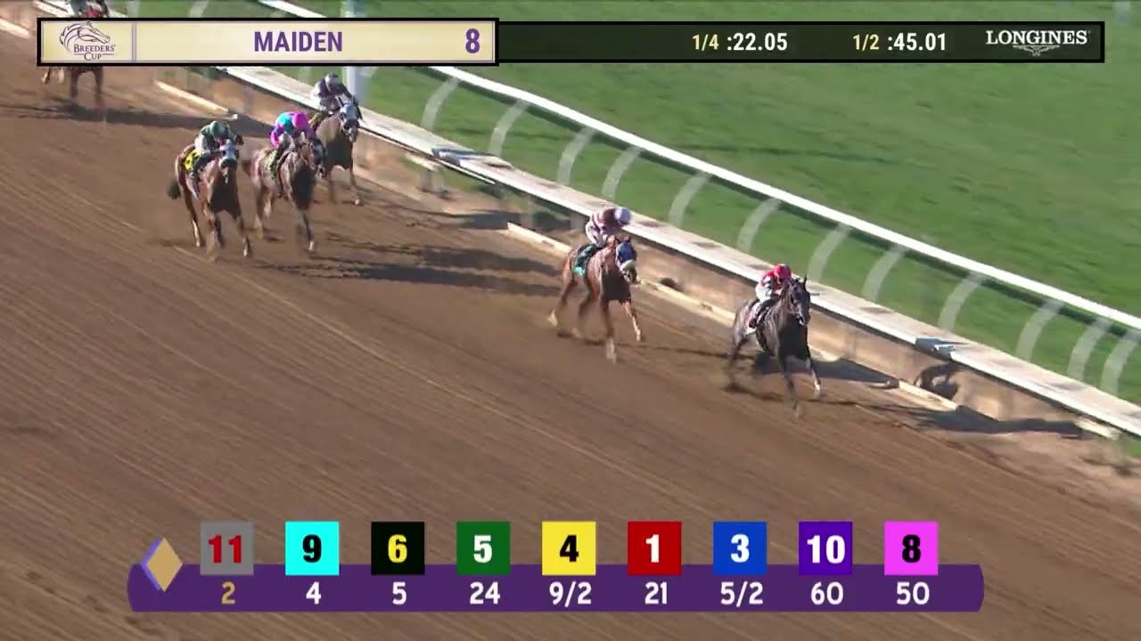 Another Bulleit wins race 8 at Del Mar 10/30/25 - YouTube