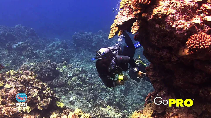 Kawika Leicher, Open Water Scuba Instructor