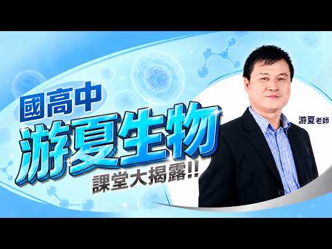 在 YouTube 觀看影片