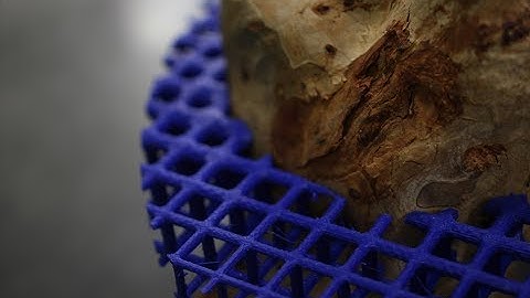 Symbio: when nature meets tech