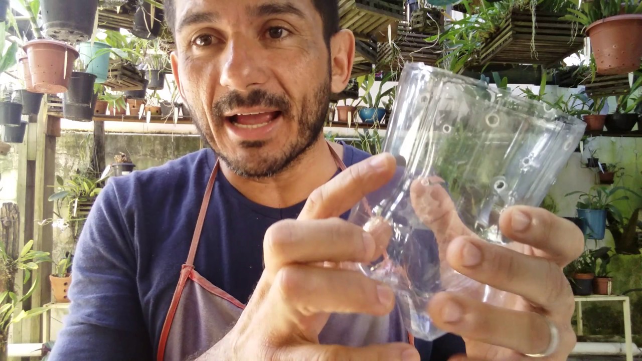 Plantio de Orquídeas em Pet descartável com reservatório de água