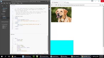 Using Pixels vs. Perecents in CSS
