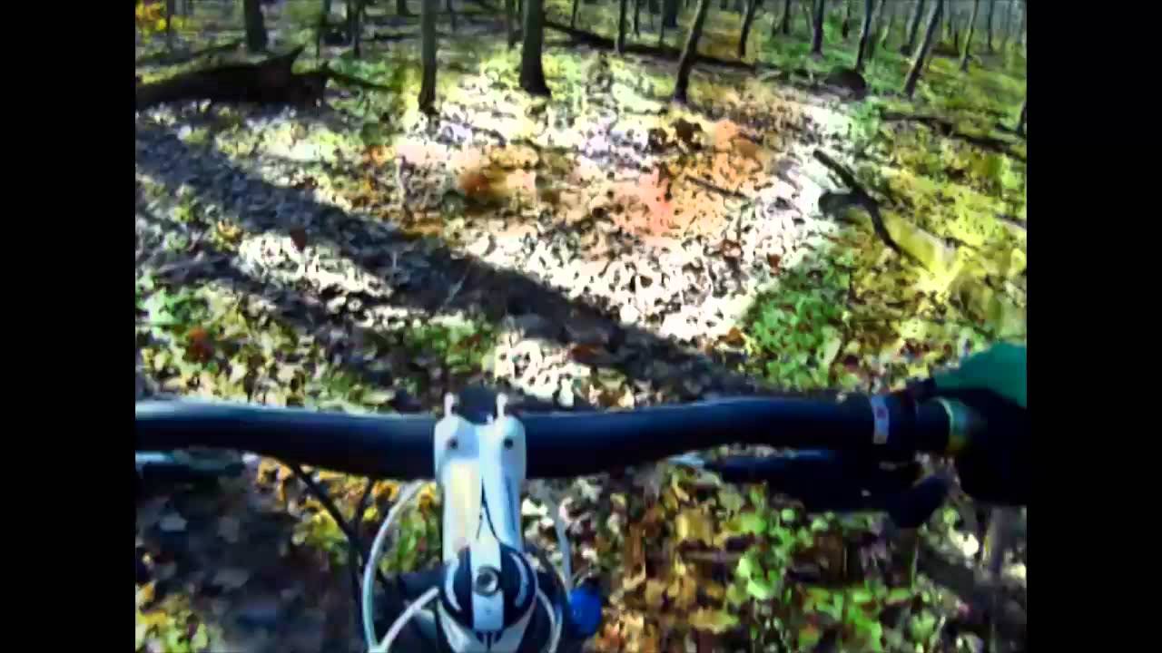 Mt. biking in the Delaware water gap 1.mp4 YouTube