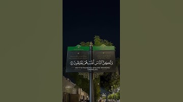 ومنهم من ينظر إليك أفأنت تهدي العمي ولو كانوا لا يبصرون | الآية من سورة يونس #المصحف #اكسبلور