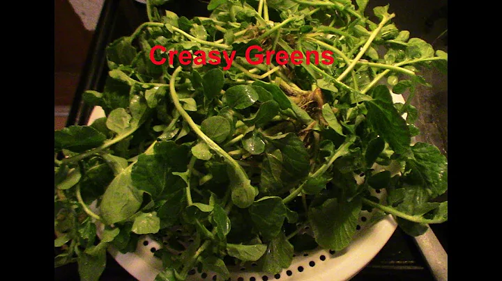 How to cook southern creasy greens also known as H...