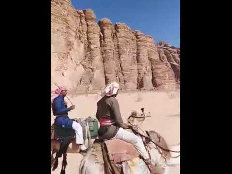 راعي طيبان محمد الصقور القويره 