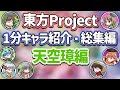 【東方Project1分キャラ紹介】東方天空璋キャラ総集編