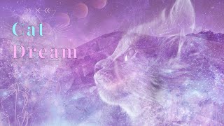 Dream Of CATS?   YOUR SECRET Spiritual Message  |COLLAB WITH @Auntyflo