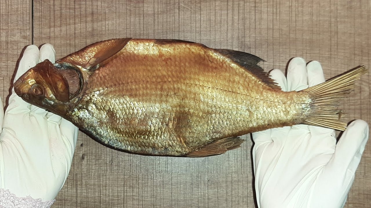 azərbaycan mətbəxi reseptlər ən yaxşı balıq resepti