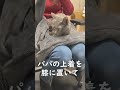 ママの膝に来たハムにパパの上着をかけるとこうなる #shorts