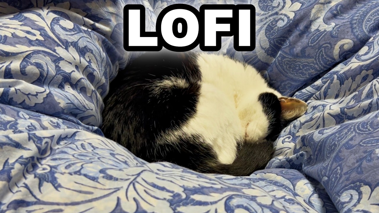 Even the smallest step is progress. 🌱 Calm Lo-fi Beats for Study, Focus