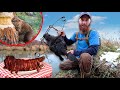 BACON BAKED BEAVER, Trap and Cook (Family Feast) - Bonus BIG DADDY 50 Pounder!!!