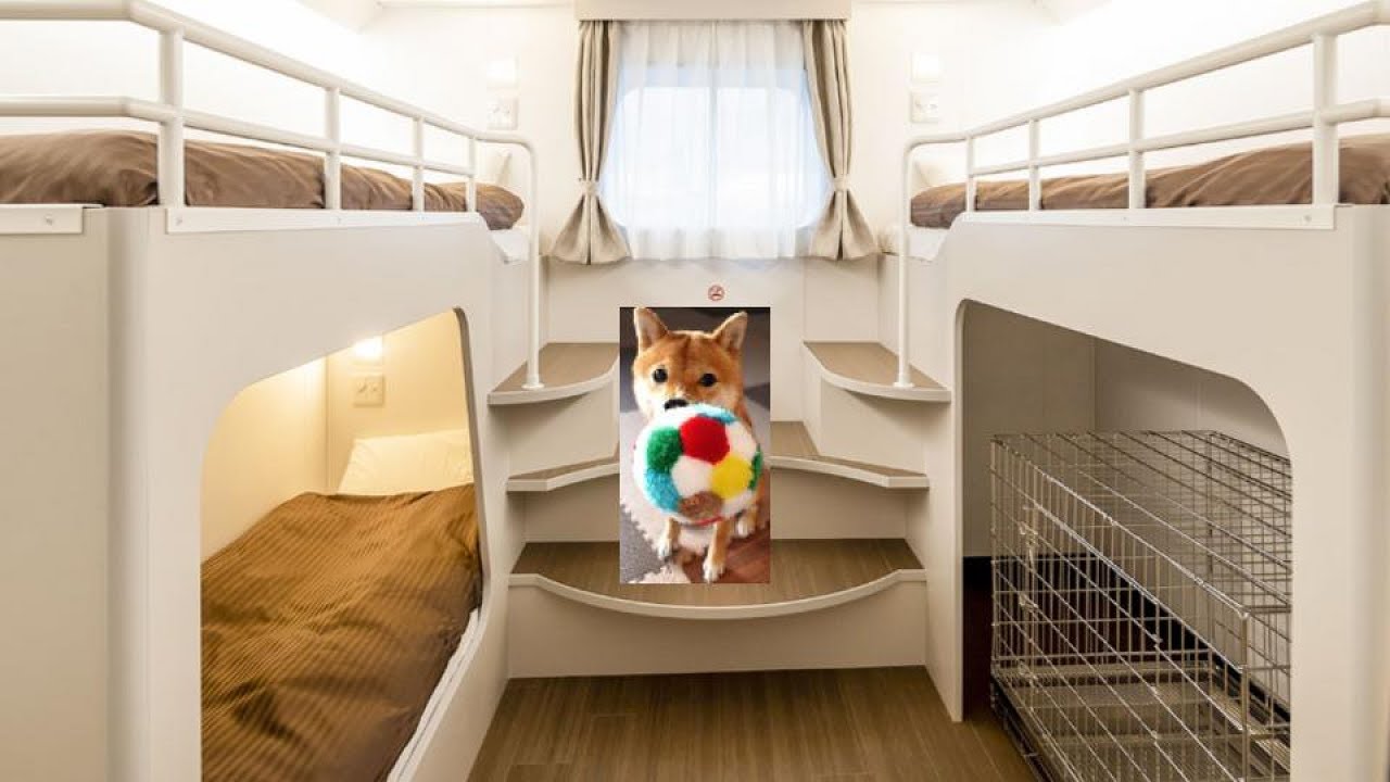 Самая длинная поездка на пароме в Японии - 40 часов. Поездка сиба-ину из Нагои на Хоккайдо.