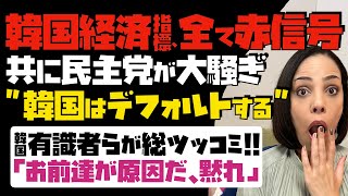 【韓国経済指標、全て赤信号】前政権・共に民主党が「韓国はデフォルトする」と大騒ぎ。韓国有識者らが総ツッコミ！「お前達が原因だ、黙れ」