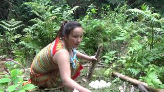 Primitive Life - Aboriginal Guy Waiting To Eat  Eggs Chicken Of Smart Girl's Are Cooking