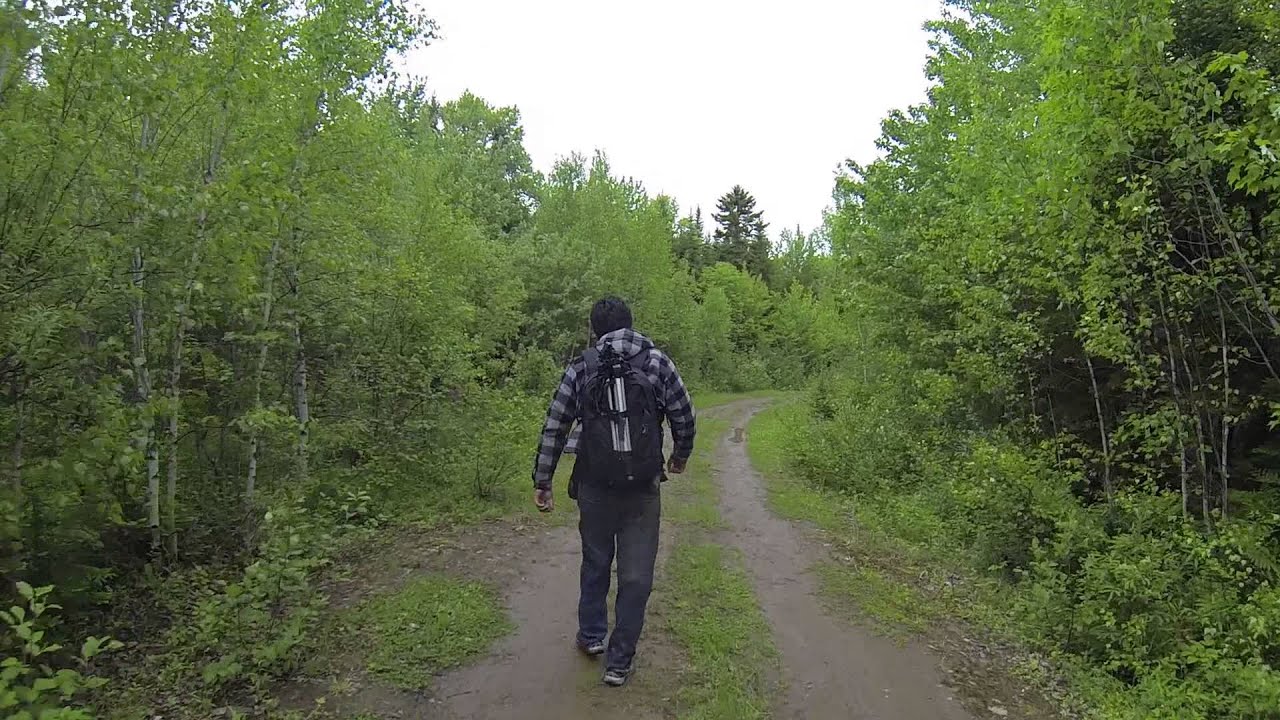 waterfall near SainteMariedeKent, NB (part 2) the walk after the mud