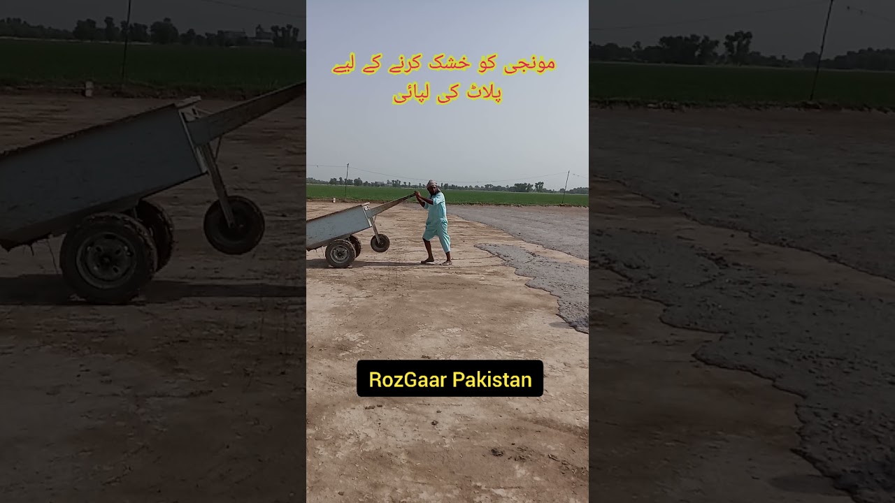 Preparation For Peak Season 