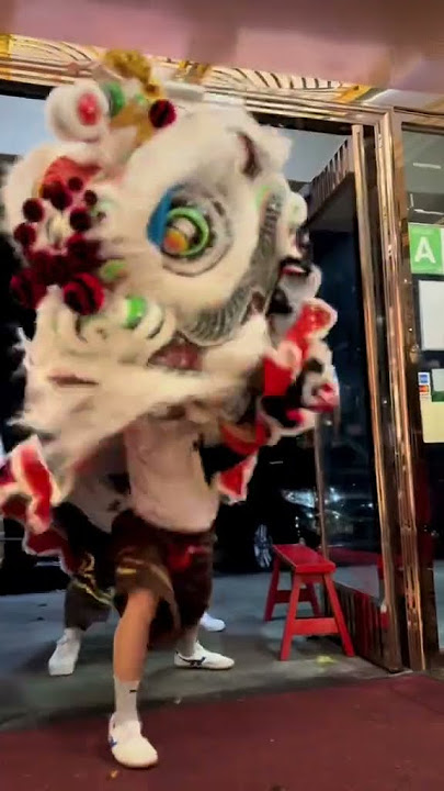 traditional lion dance🦁 @langthangboys47 #barongsai #mualan #lansurong #liondance