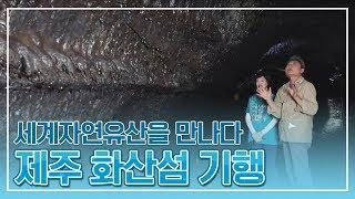 🌋용암의 흔적을 따라 떠나는 제주 화산섬 기행 🌋 거문오름, 곶자왈, 도토리칼국수 체험까지! 놓칠 수 없는 최주봉씨의 제주 여행 브이로그!