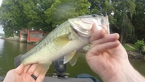 15 boat Lake Norman bass tournament summer bass fishing