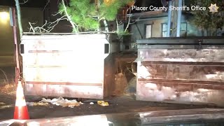 Bear Stuck in Dumpster