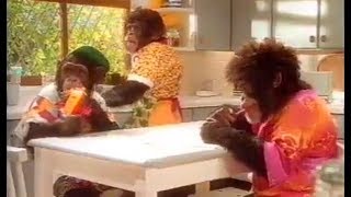 1992 PG Tips Tea Bag Test Advert