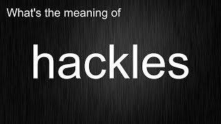 Whats The Meaning Of Hackles How To Pronounce Hackles