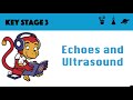 Understanding Echoes and Ultrasound
